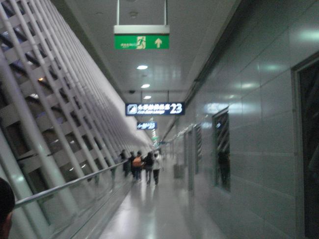 DSC08985_resize.JPG